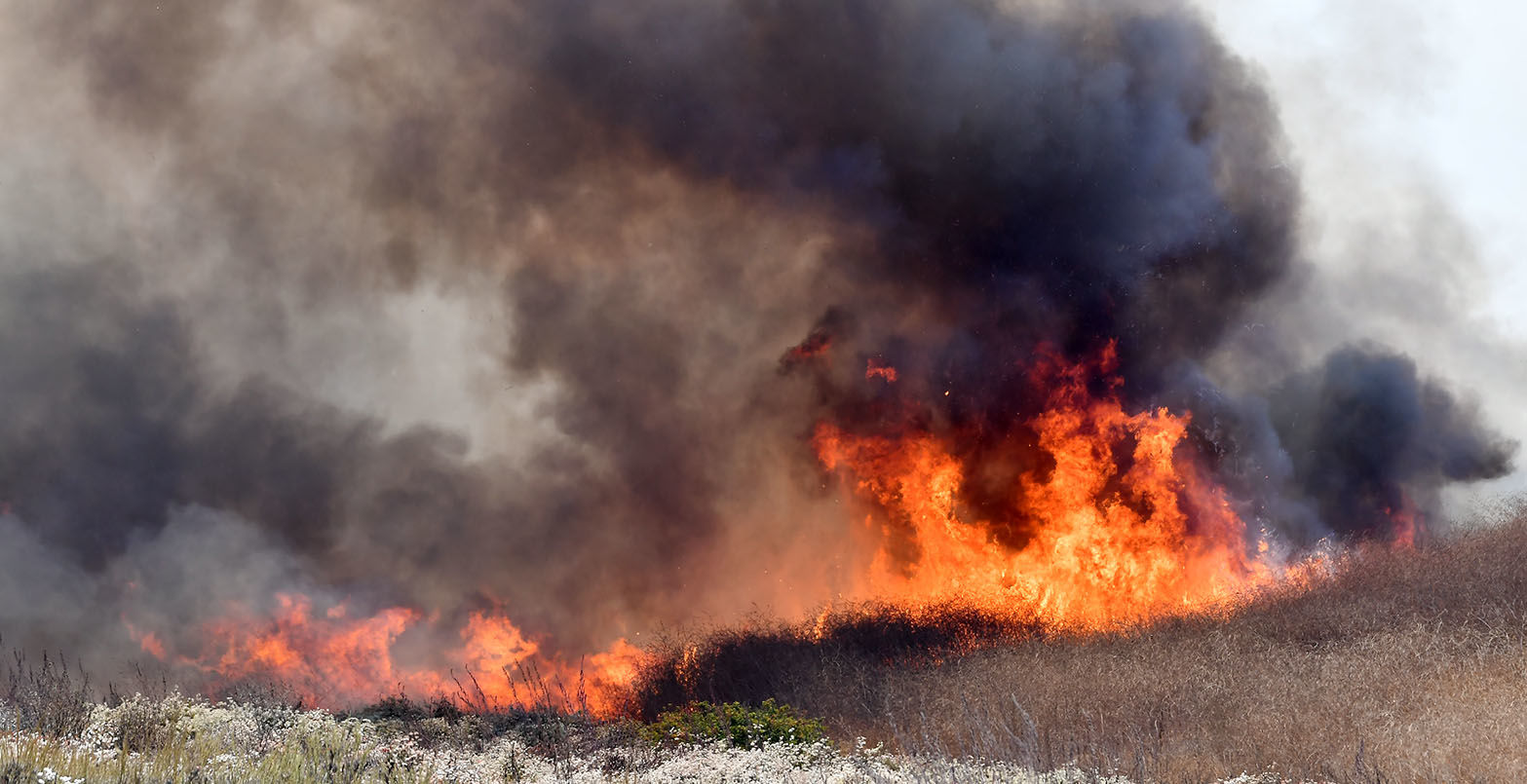 Brush fire burns 110 acres in Chino Hills; road closures in place
